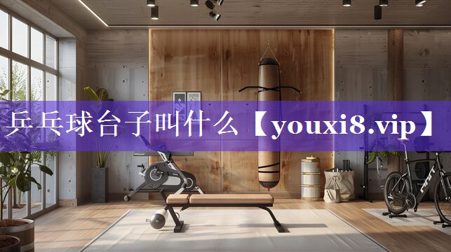 乒乓球台子叫什么