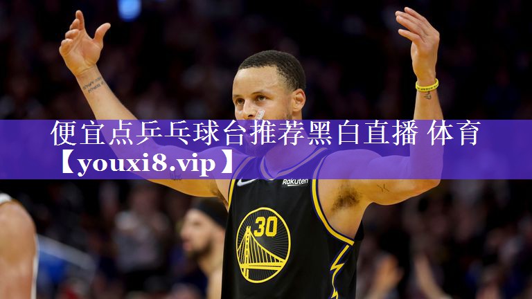 便宜点乒乓球台推荐黑白直播 体育