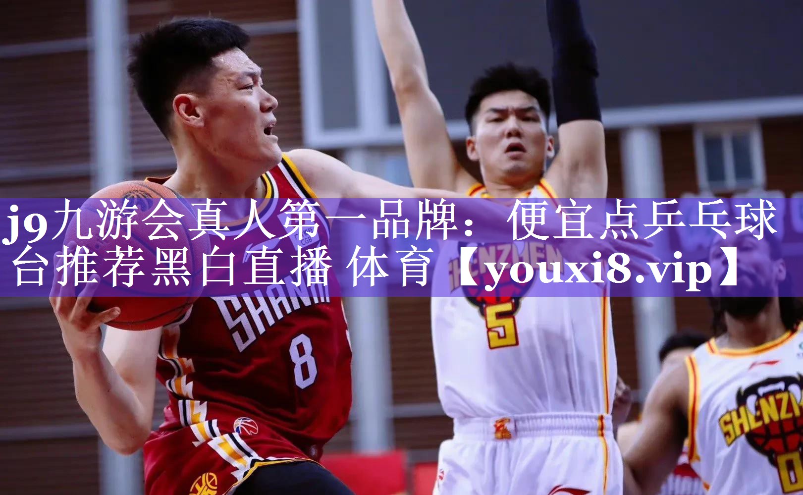 j9九游会真人第一品牌：便宜点乒乓球台推荐黑白直播 体育
