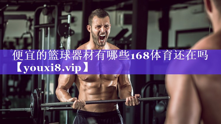 便宜的篮球器材有哪些168体育还在吗