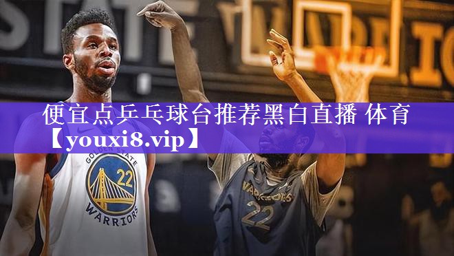 便宜点乒乓球台推荐黑白直播 体育