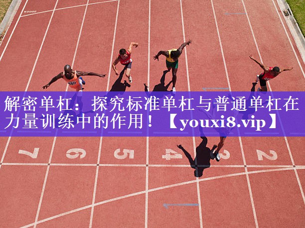 解密单杠:探究标准单杠与普通单杠在力量训练中的作用! 解密单杠:探究标准单杠与普通单杠在力量训练中的作用!