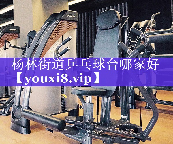 杨林街道乒乓球台哪家好 杨林街道乒乓球台哪家好